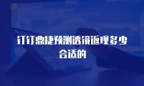 钉钉鼎捷预测透镜返现多少合适的