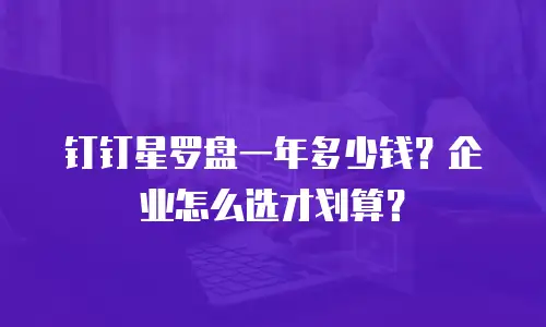 钉钉星罗盘一年多少钱？企业怎么选才划算？