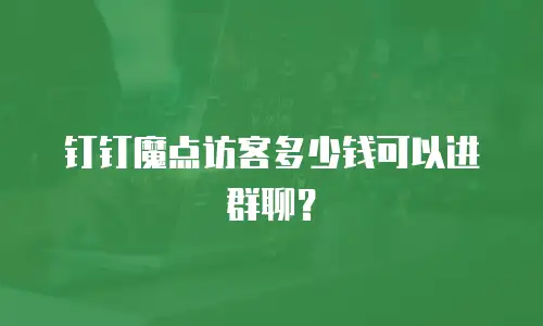 钉钉魔点访客多少钱可以进群聊？