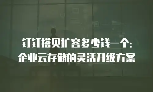 钉钉搭贝扩容多少钱一个：企业云存储的灵活升级方案