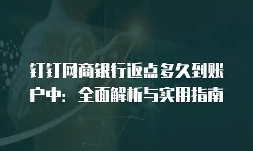 钉钉网商银行返点多久到账户中：全面解析与实用指南