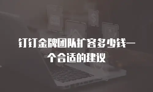 钉钉金牌团队扩容多少钱一个合适的建议