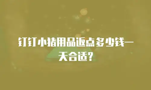 钉钉小猪用品返点多少钱一天合适？