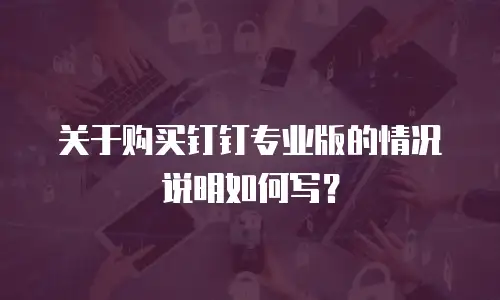关于购买钉钉专业版的情况说明如何写？