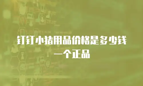 钉钉小猪用品价格是多少钱一个正品