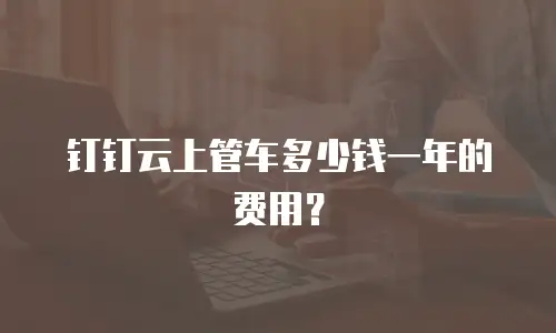 钉钉云上管车多少钱一年的费用？