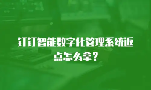 钉钉智能数字化管理系统返点怎么拿？