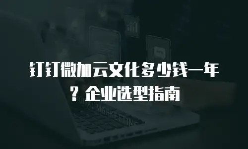 钉钉微加云文化多少钱一年？企业选型指南