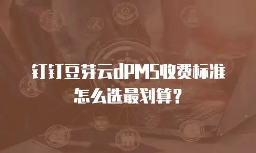 钉钉豆芽云dPMS收费标准怎么选最划算？
