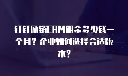 钉钉励销CRM佣金多少钱一个月？企业如何选择合适版本？