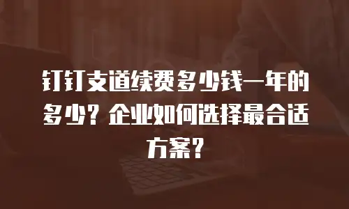 钉钉支道续费多少钱一年的多少？企业如何选择最合适方案？