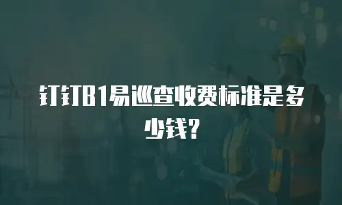 钉钉B1易巡查收费标准是多少钱？