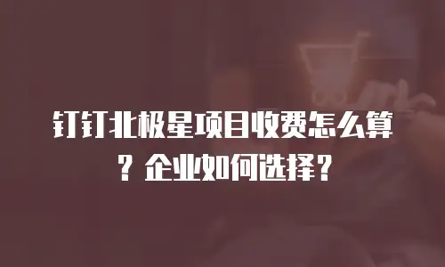 钉钉北极星项目收费怎么算？企业如何选择？