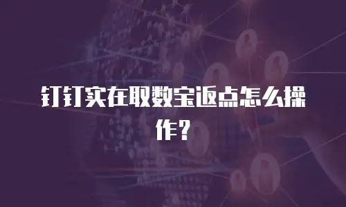 钉钉实在取数宝返点怎么操作？