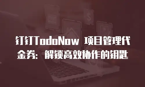 钉钉TodoNow 项目管理代金券：解锁高效协作的钥匙