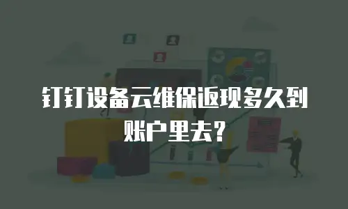 钉钉设备云维保返现多久到账户里去？
