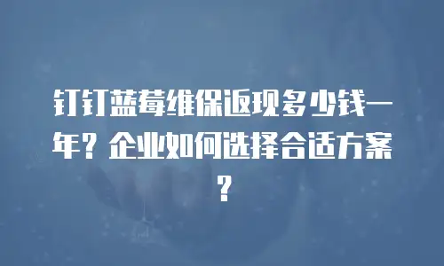 钉钉蓝莓维保返现多少钱一年？企业如何选择合适方案？