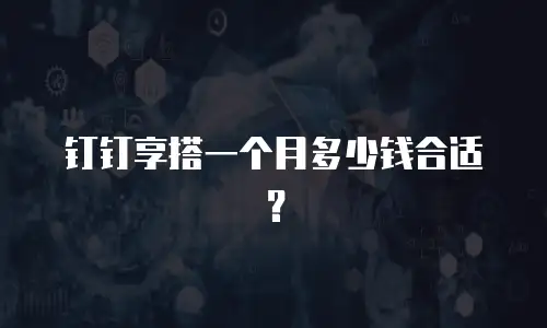 钉钉享搭一个月多少钱合适？