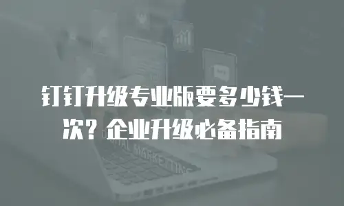 钉钉升级专业版要多少钱一次？企业升级必备指南