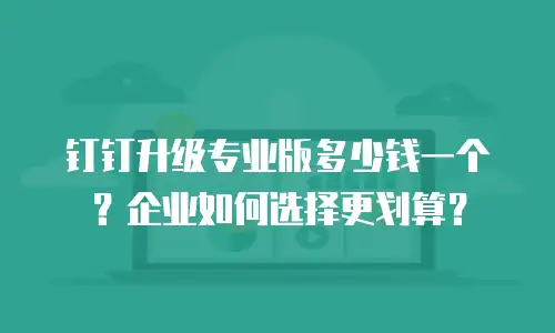 钉钉升级专业版多少钱一个？企业如何选择更划算？