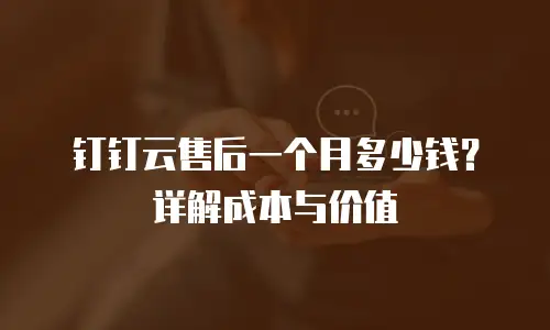 钉钉云售后一个月多少钱？详解成本与价值