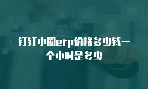 钉钉小圈erp价格多少钱一个小时是多少