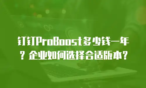 钉钉ProBoost多少钱一年？企业如何选择合适版本？