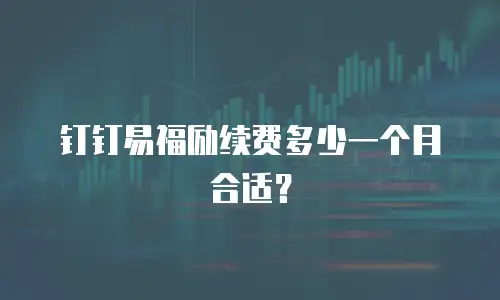 钉钉易福励续费多少一个月合适？
