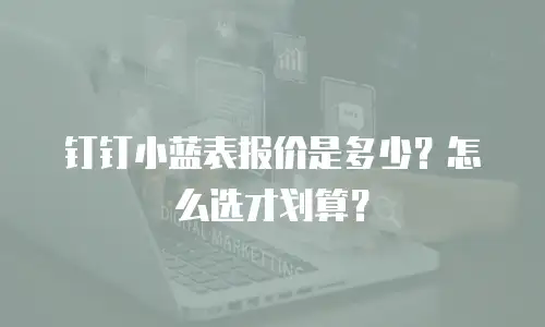 钉钉小蓝表报价是多少？怎么选才划算？