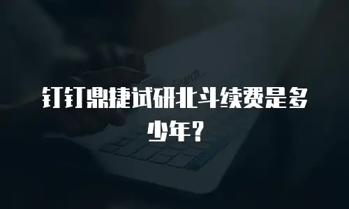 钉钉鼎捷试研北斗续费是多少年？