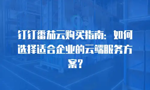 钉钉番茄云购买指南：如何选择适合企业的云端服务方案？