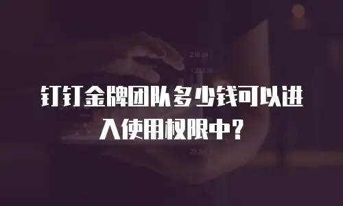 钉钉金牌团队多少钱可以进入使用权限中？