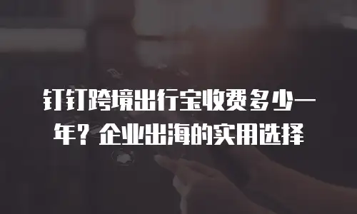 钉钉跨境出行宝收费多少一年？企业出海的实用选择