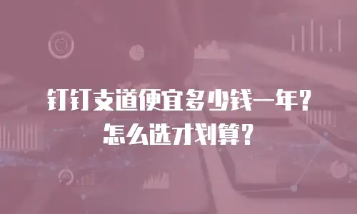 钉钉支道便宜多少钱一年？怎么选才划算？