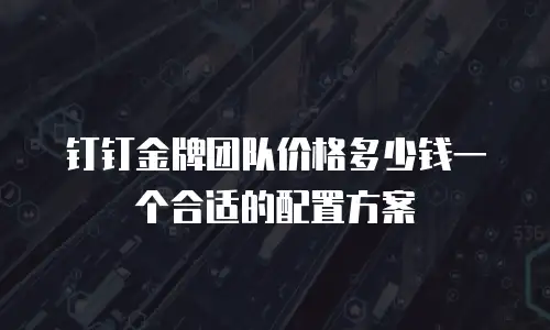 钉钉金牌团队价格多少钱一个合适的配置方案