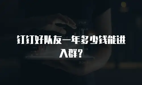 钉钉好队友一年多少钱能进入群？