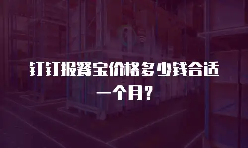 钉钉报餐宝价格多少钱合适一个月？