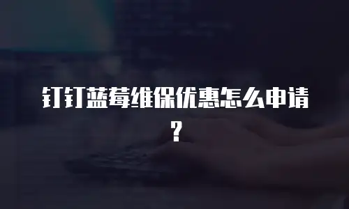 钉钉蓝莓维保优惠怎么申请？