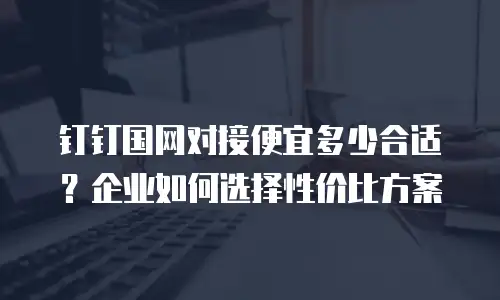 钉钉国网对接便宜多少合适？企业如何选择性价比方案