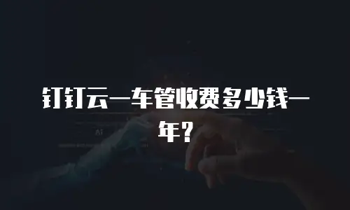 钉钉云一车管收费多少钱一年？