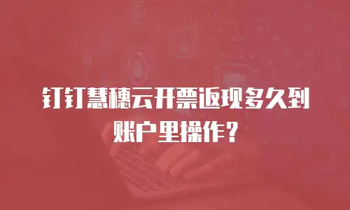 钉钉慧穗云开票返现多久到账户里操作？