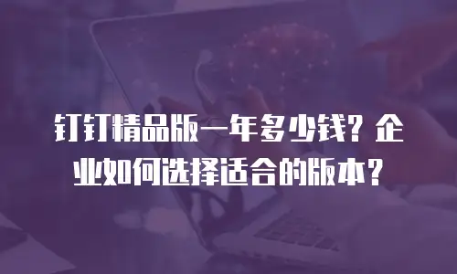 钉钉精品版一年多少钱？企业如何选择适合的版本？
