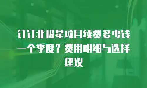 钉钉北极星项目续费多少钱一个季度？费用明细与选择建议