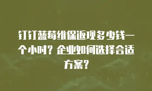 钉钉蓝莓维保返现多少钱一个小时？企业如何选择合适方案？