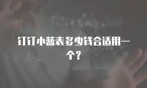 钉钉小蓝表多少钱合适用一个？