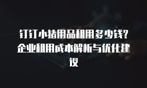 钉钉小猪用品租用多少钱？企业租用成本解析与优化建议