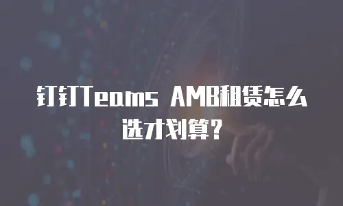 钉钉Teams AMB租赁怎么选才划算？