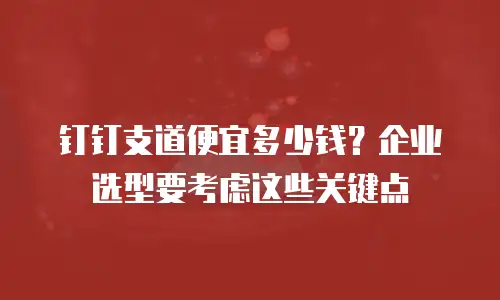 钉钉支道便宜多少钱？企业选型要考虑这些关键点