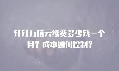钉钉万搭云续费多少钱一个月？成本如何控制？