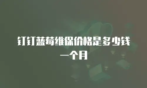钉钉蓝莓维保价格是多少钱一个月